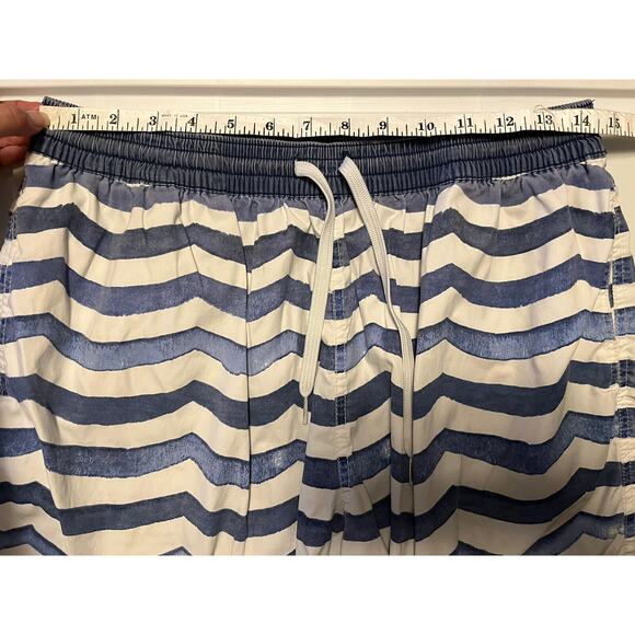 Chubbies Swim Trunks Mens Large Blue White Striped Lined Shorts Bathing Suit - Picture 9 of 12